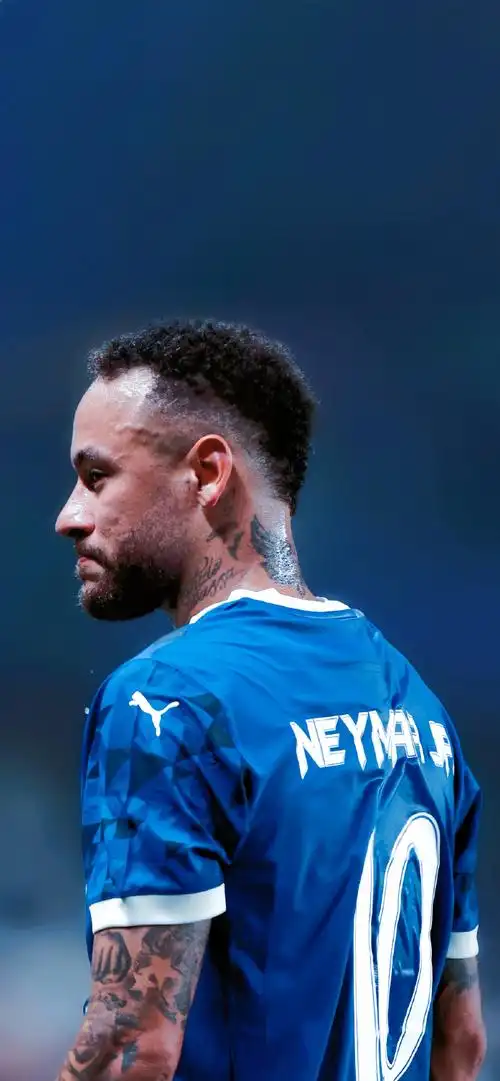 动爱好者 动爱好者