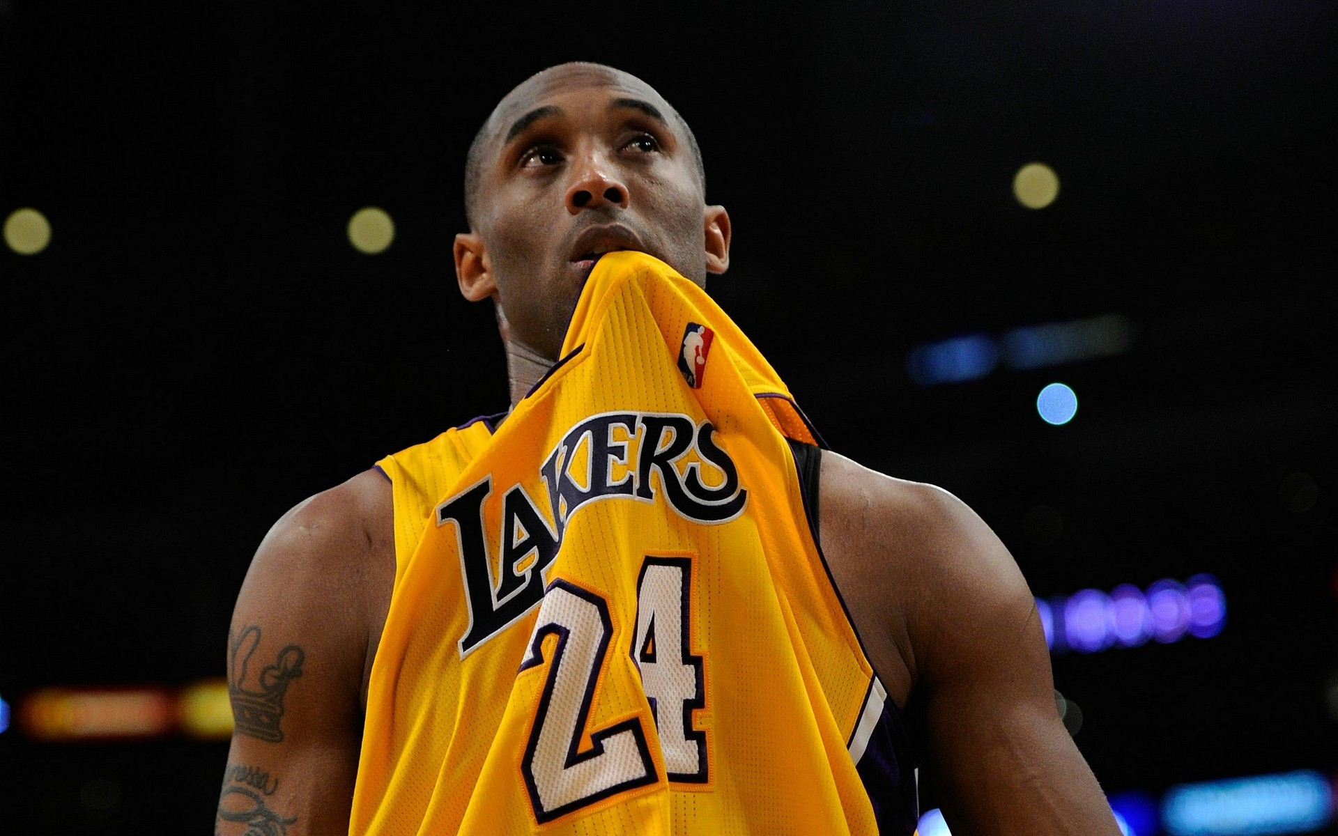 曾在哈维与 曾在哈维与